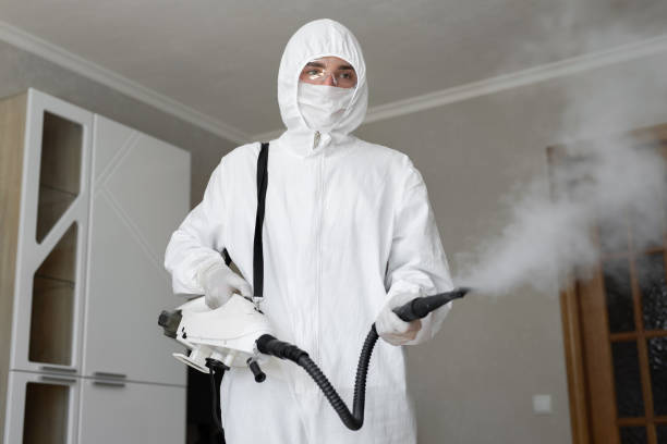 Why You Should Choose Our Mold Remediation Services in Norwood, NJ